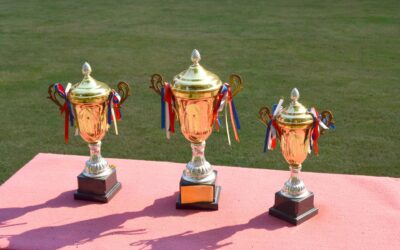 Clubkampioenschappen